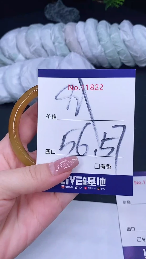 未镶嵌手镯翡翠11822