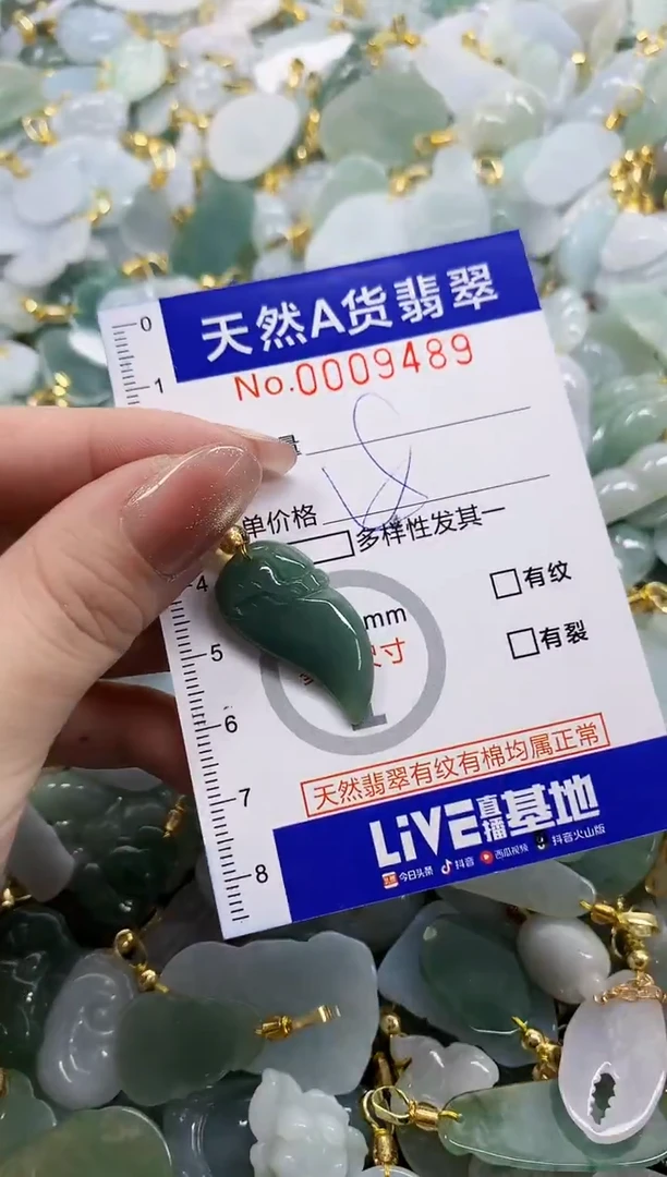 颈饰未镶嵌翡翠天然A货翡翠