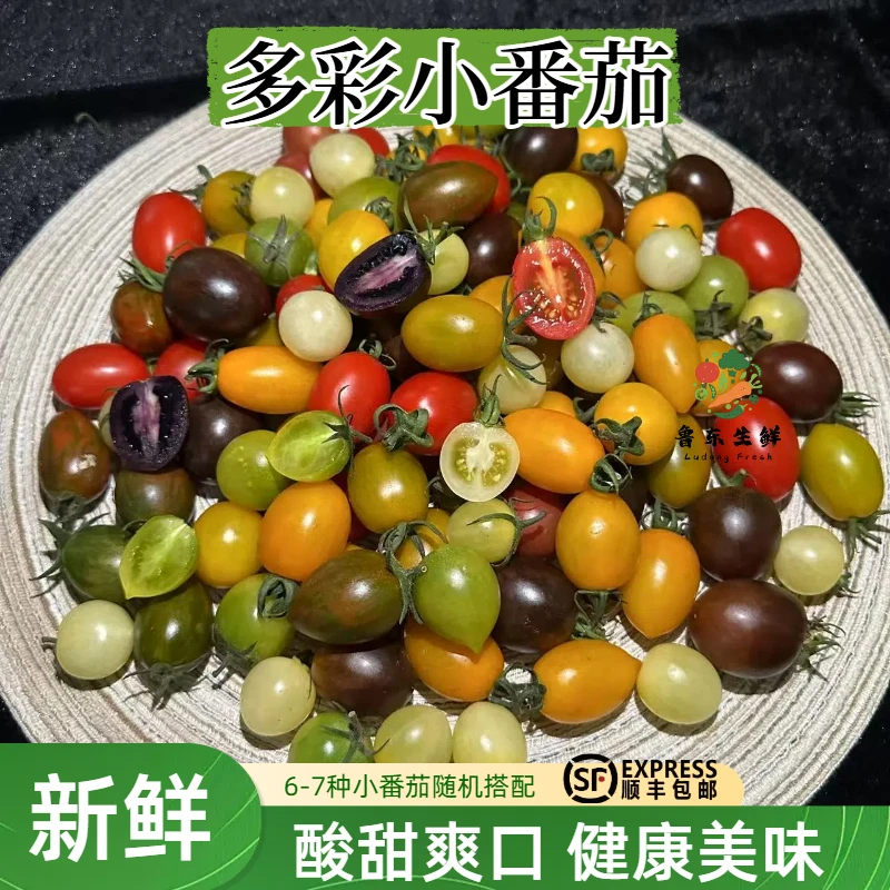 【产地直发】寿光新鲜番茄水果6-7混装西红柿樱桃圣女果五彩斑斓