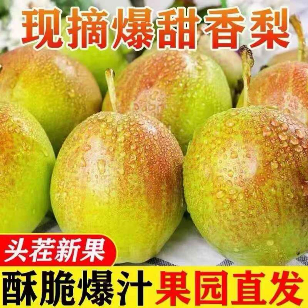 新疆库尔勒香梨5斤装七月红梨也叫半边红梨现摘现发应季脆梨