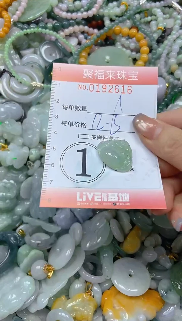 翡翠未镶嵌颈饰闪购0192616