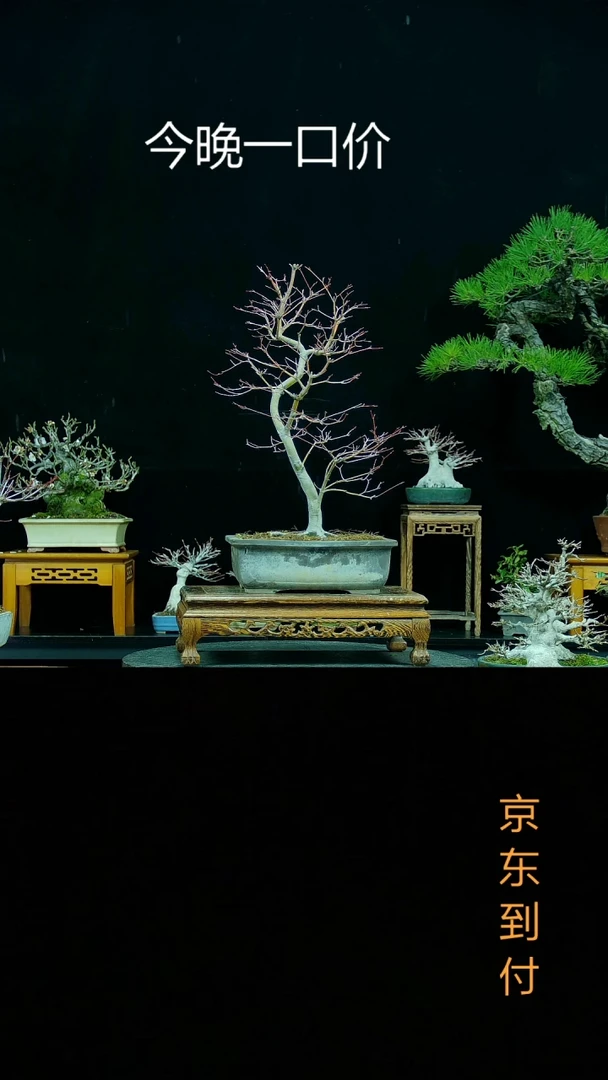 【闪购商品】000000