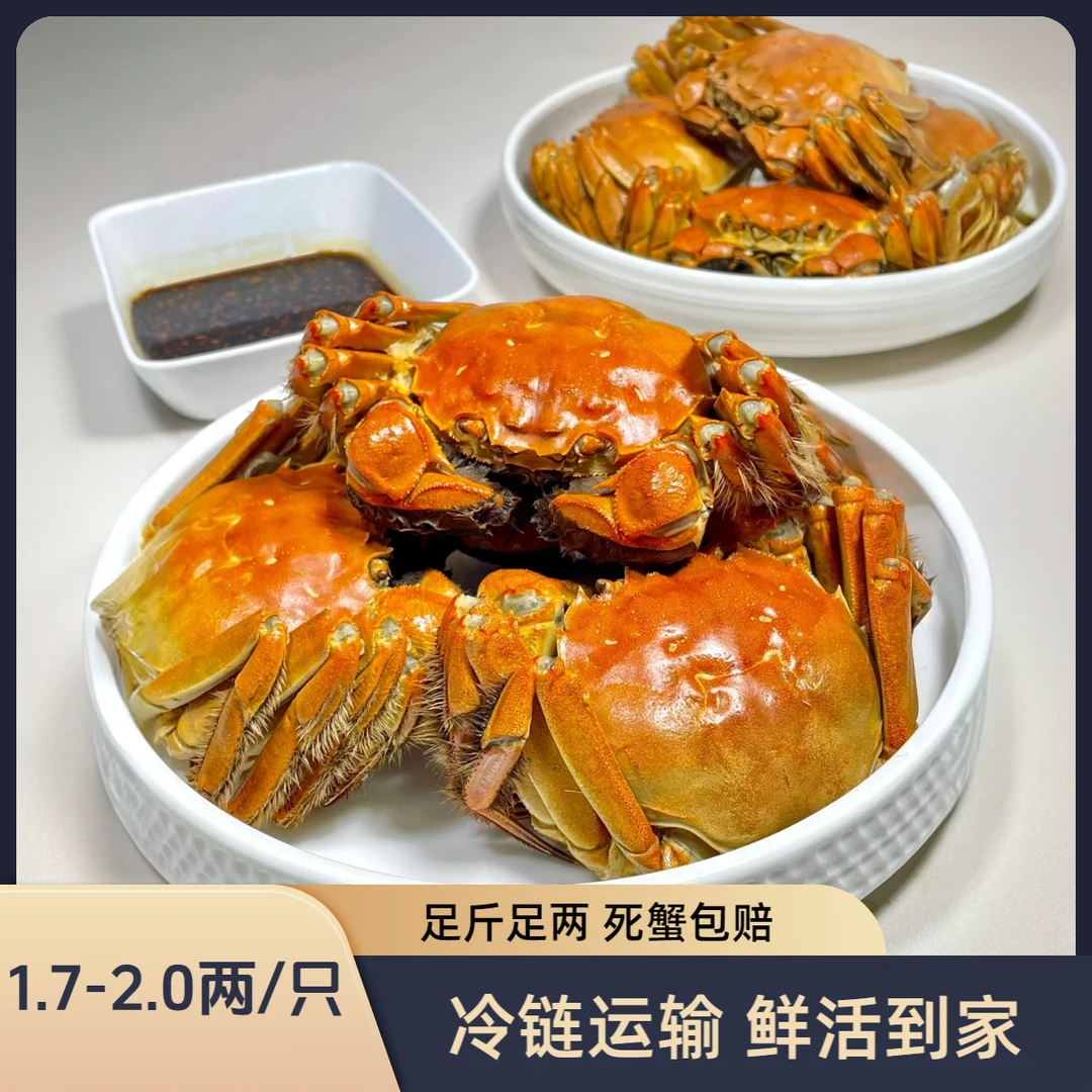 【活蟹】盘锦河蟹 母蟹10只（1.7-2.0两）