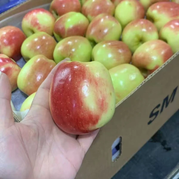 神仙苹果 39.9 3斤净果新鲜苹果