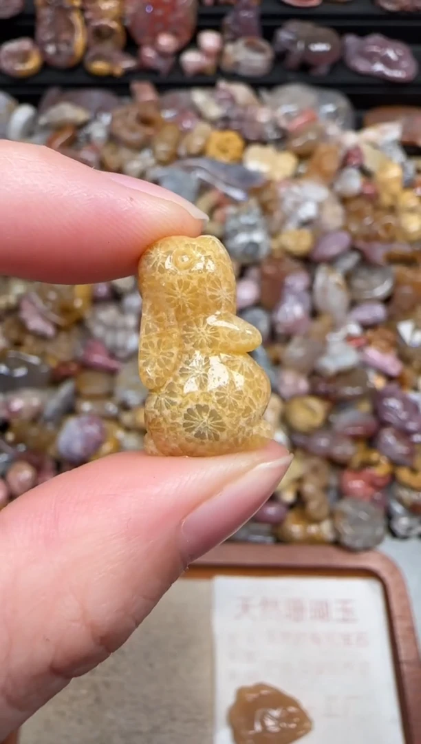 颈饰未镶嵌硅化珊瑚（珊瑚玉）392