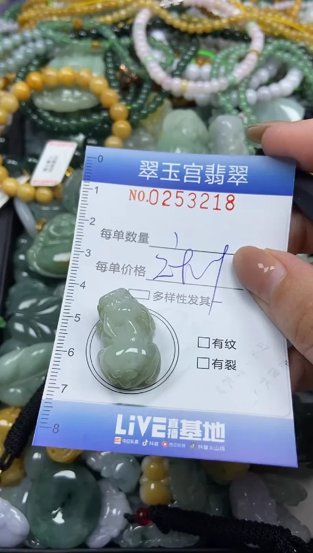 颈饰未镶嵌翡翠闪购C0253218