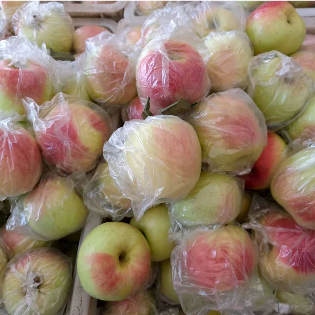 【大头果蔬】山东华硕新苹果（现摘现发，产地直发）