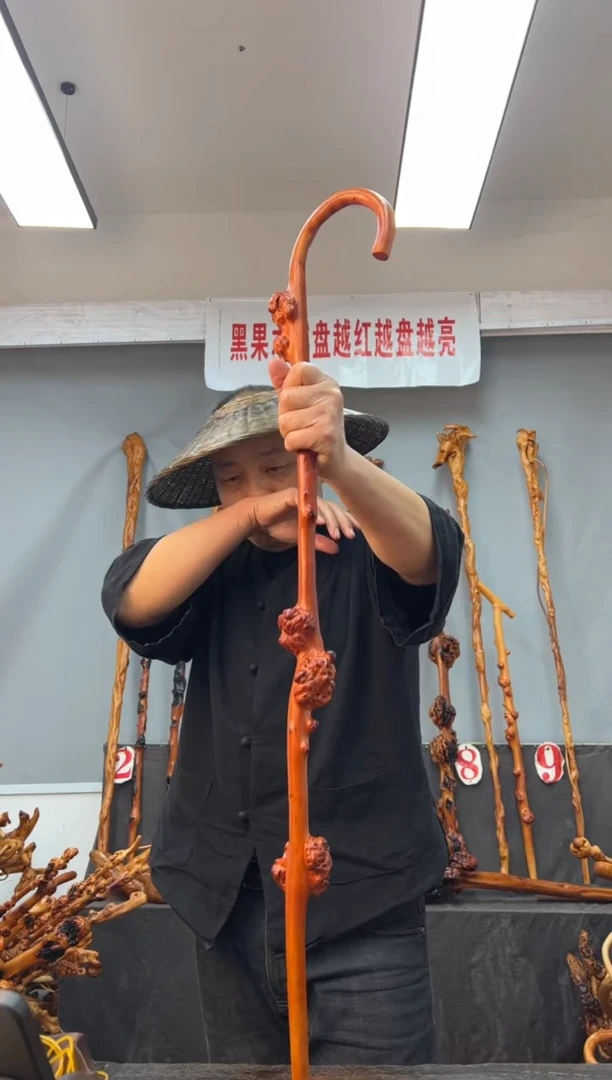 【闪购商品】黑果木其他黑果木949