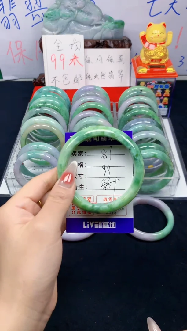 未镶嵌手镯翡翠81