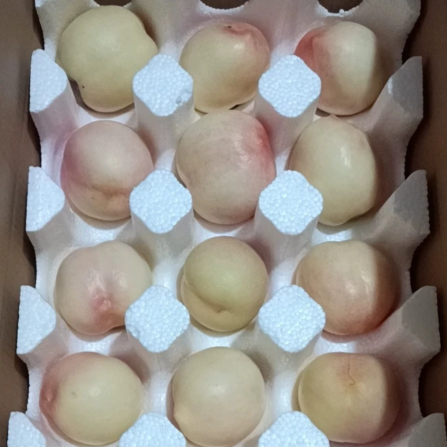 新鲜蒙阴桃子脆甜孕妇奶油白桃冰激凌油大白桃中大果当季脆桃水果