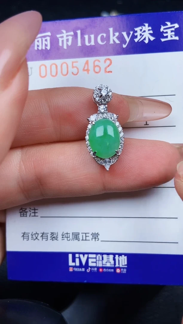 翡翠银S925镶嵌颈饰5462