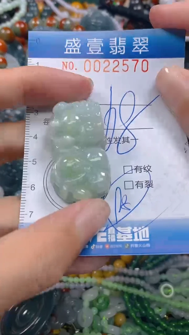 颈饰未镶嵌翡翠闪购0022570