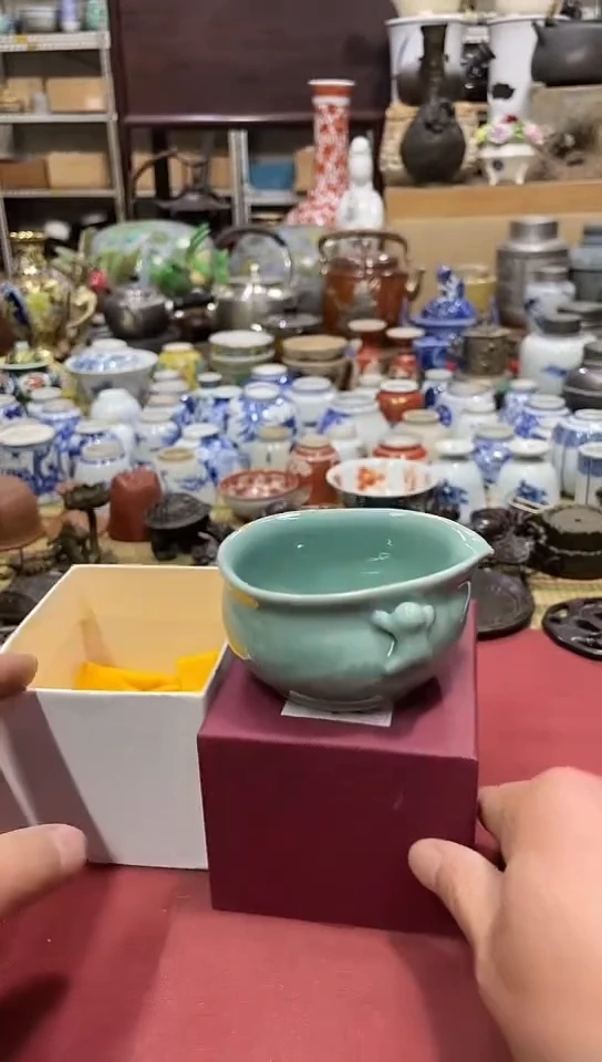 发发发发发发发发