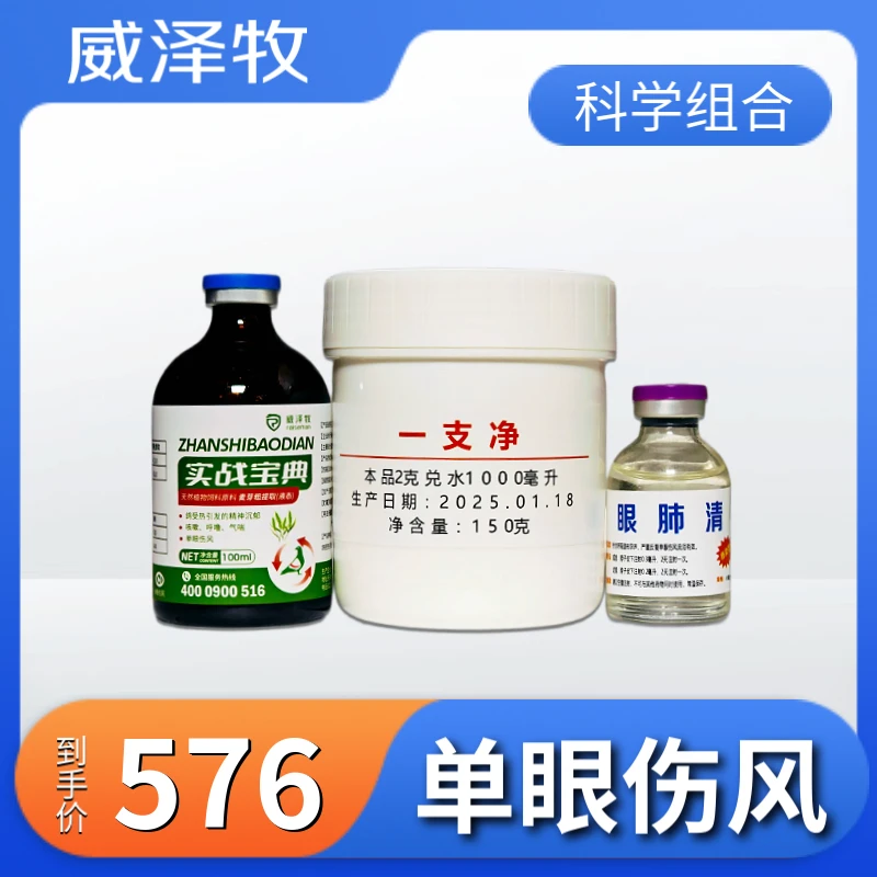 单眼伤风套装新款 鸽子赛鸽信鸽