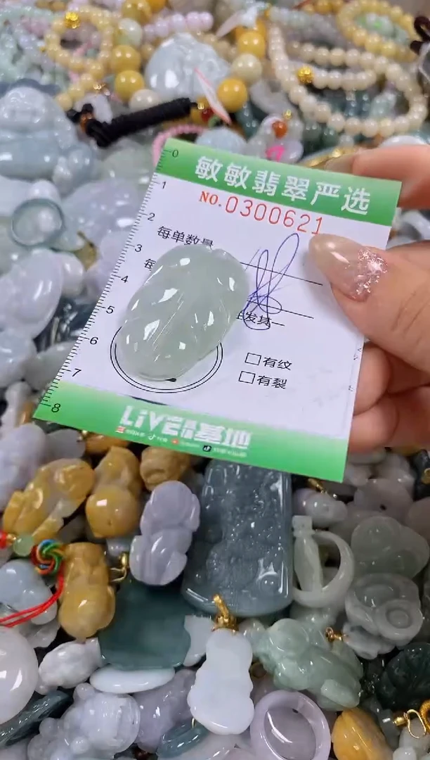 翡翠未镶嵌颈饰闪购0300621