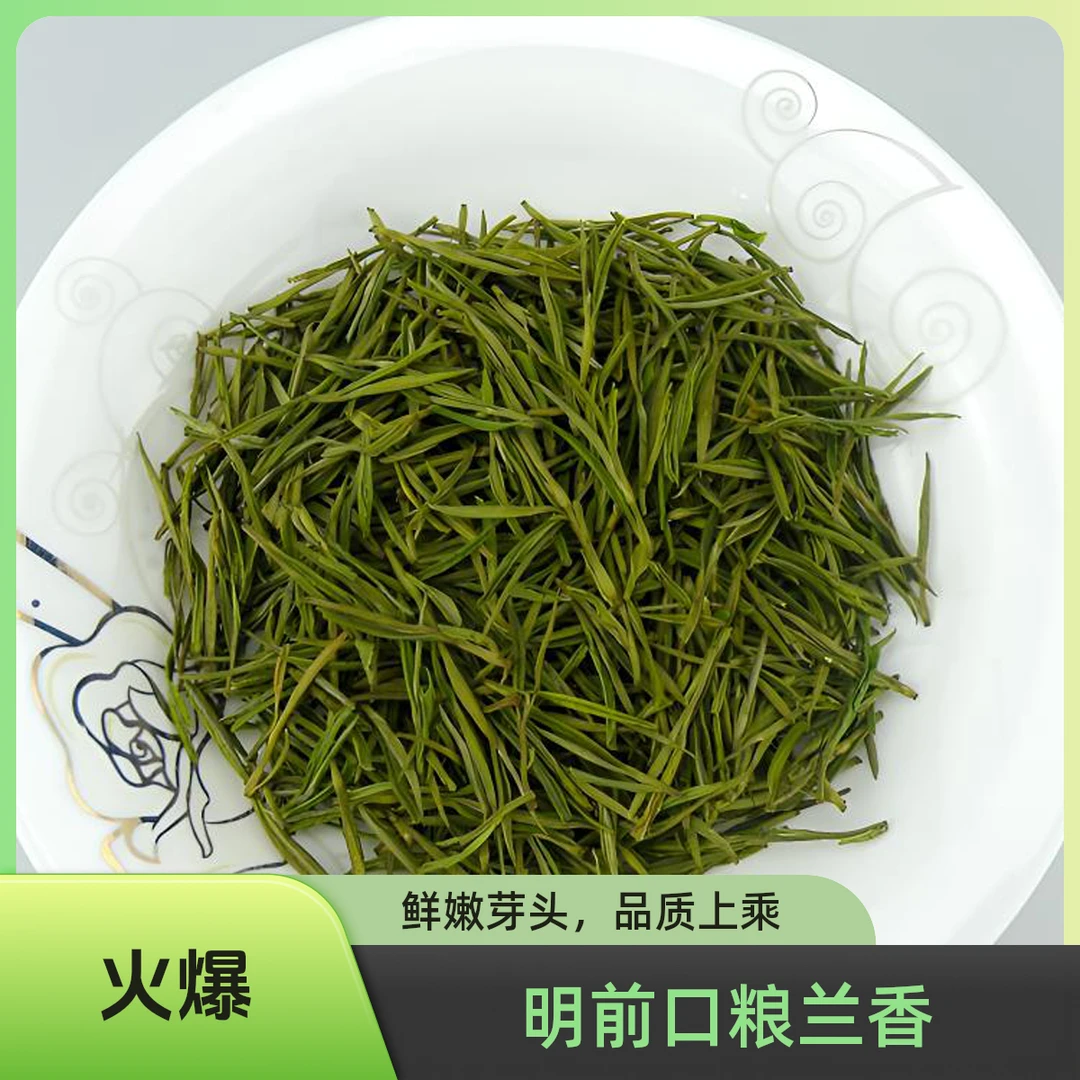 2025正宗安吉高山明前高端口粮白茶绿茶礼盒装新茶兰花香特级