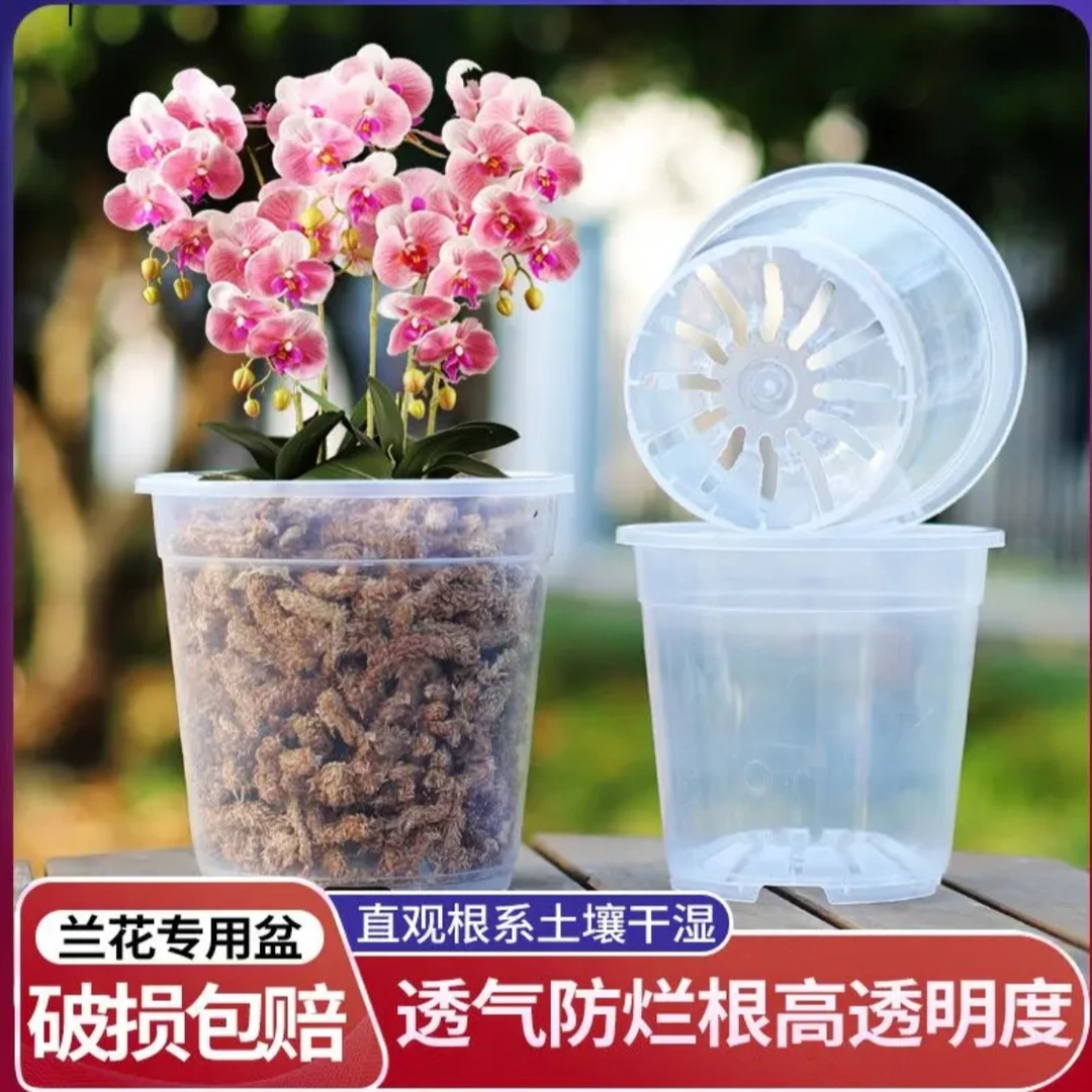 新款蝴蝶兰养护升杯通用盆（升级款会呼吸的花盆绿植通用）
