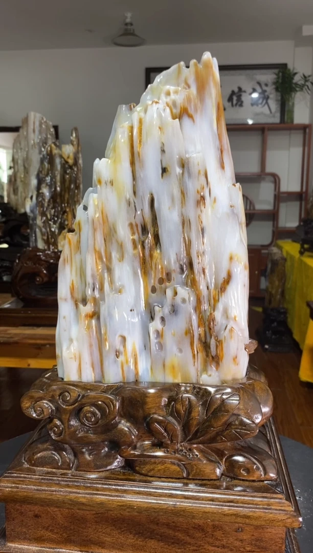 未镶嵌珠宝奇石硅化玉有****贝1
