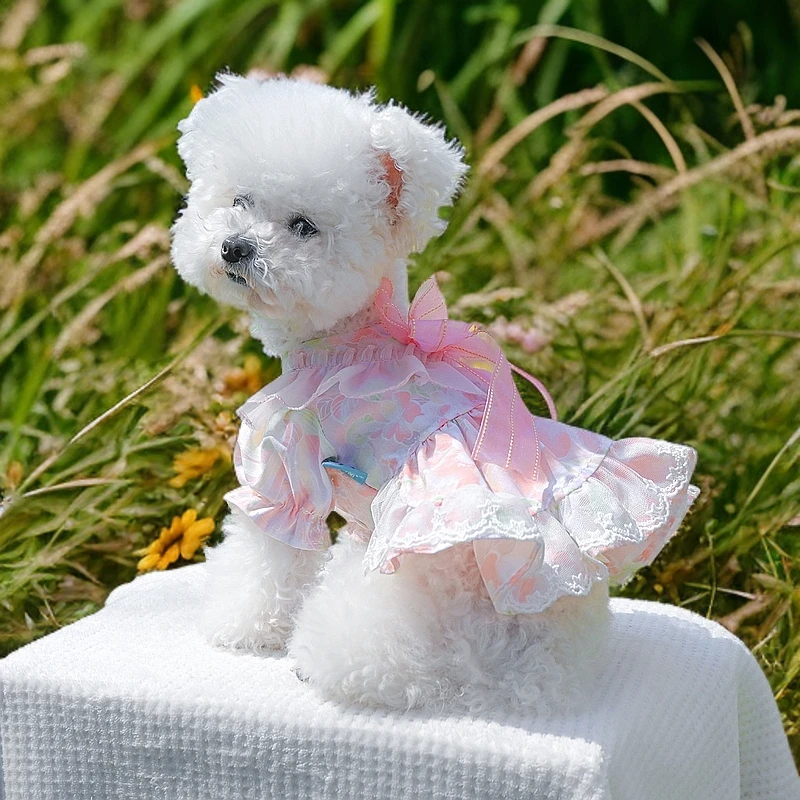 宠物狗狗猫咪衣服春夏公主裙可爱花边蝴蝶结仲夏花裙