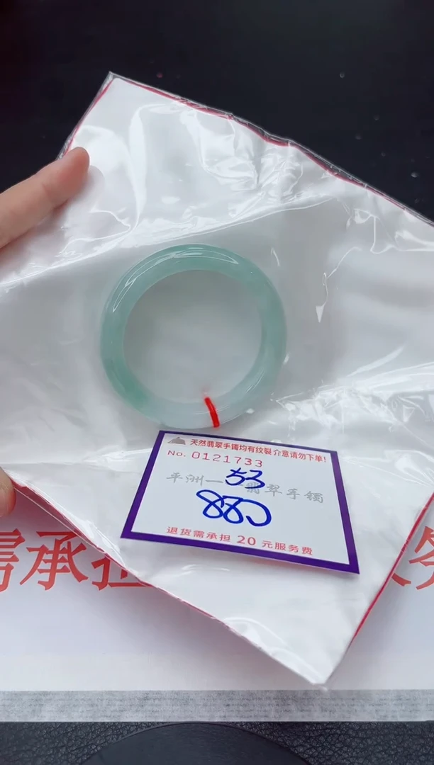 未镶嵌手镯翡翠1