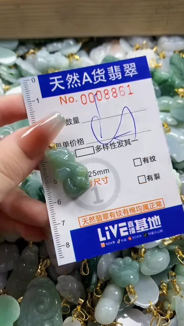 颈饰未镶嵌翡翠天然A货翡翠