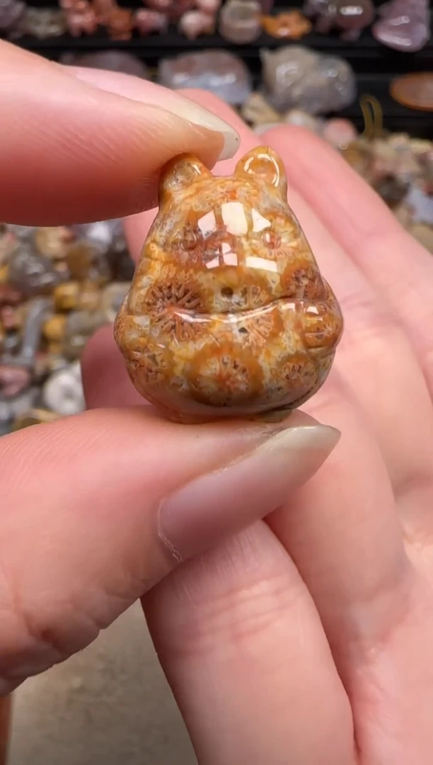 硅化珊瑚（珊瑚玉）未镶嵌颈饰910