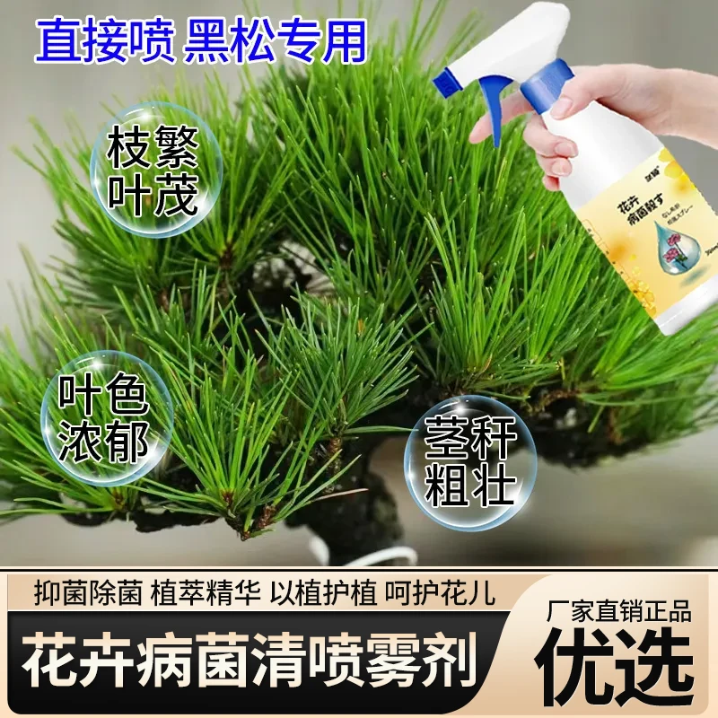 黑松补营养喷雾剂掉叶炭疽黄化黄叶烂枯叶急救盆栽营养液园艺肥料