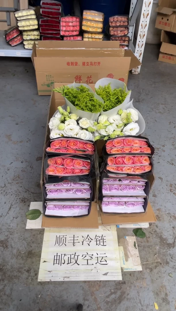 朱小姐20枝+海洋之歌20枝+白桔梗400克+黄莺