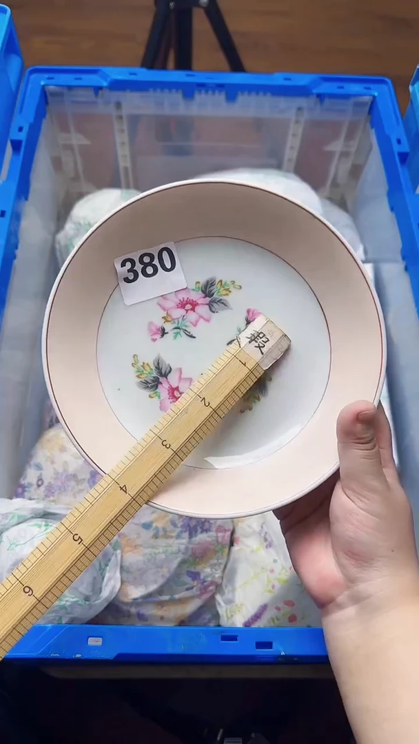 毛*380  定向 毛毛