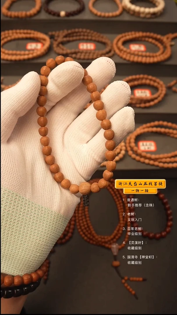 吊坠五线菩提手串