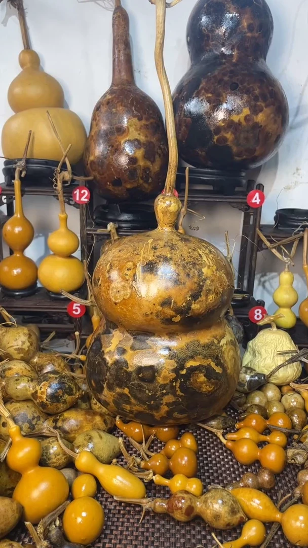 【闪购商品】葫芦葫芦葫芦葫芦