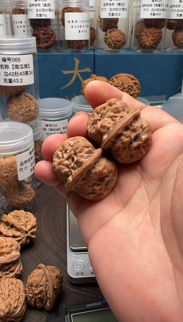 把件文玩核桃SG05门头沟元宝35X36.5MM