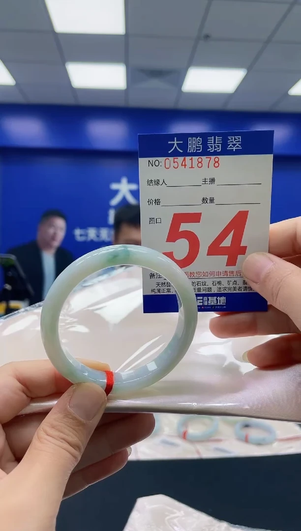 未镶嵌手镯翡翠AAAAAAAAAA