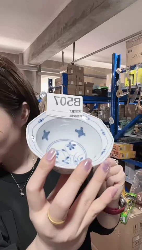瓷片日本瓷器12cm大八角一只高丽草B507