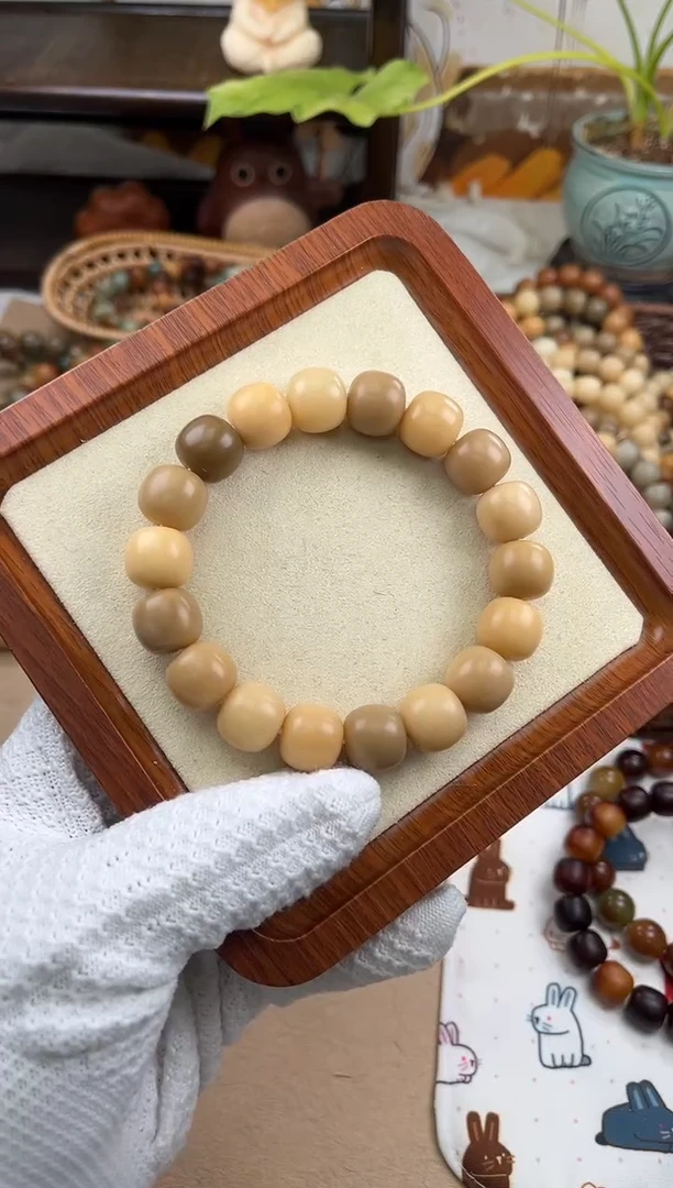 手串菩提根/象牙果a185 卡14.8 干磨海子