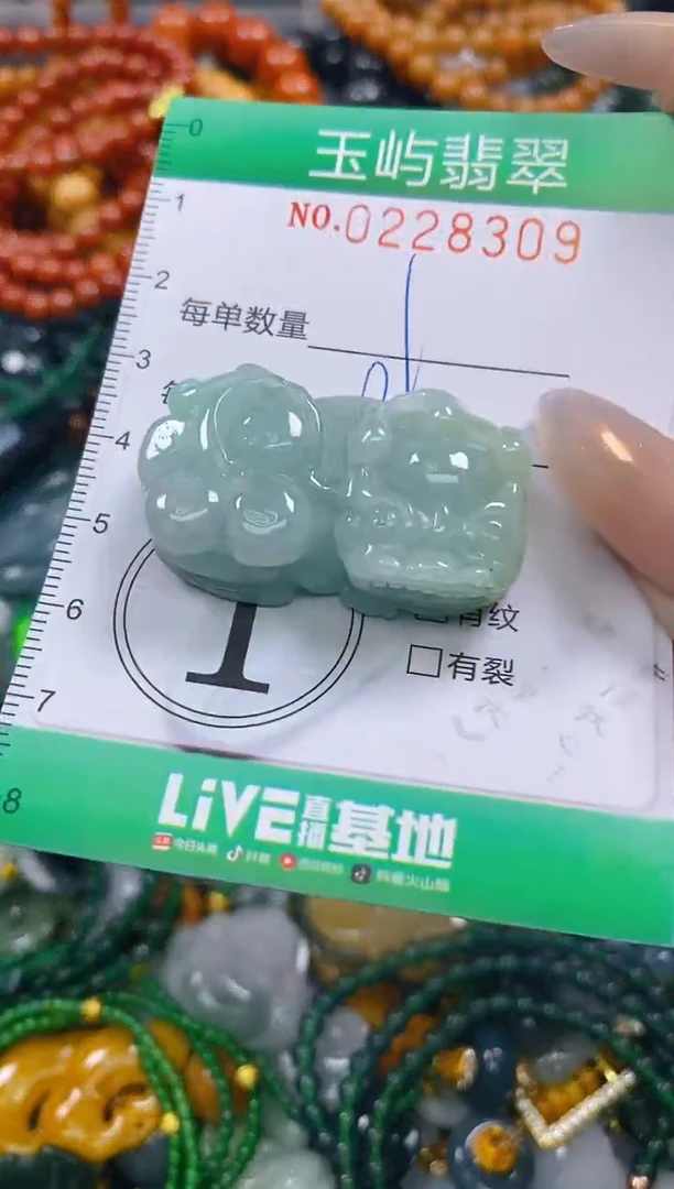 颈饰未镶嵌翡翠闪购0228309