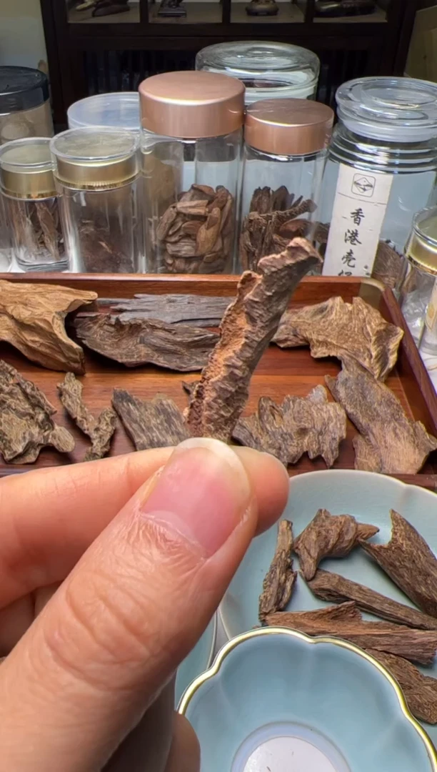 沉香ᅟ****⸜海南老房梁虫漏0.6克