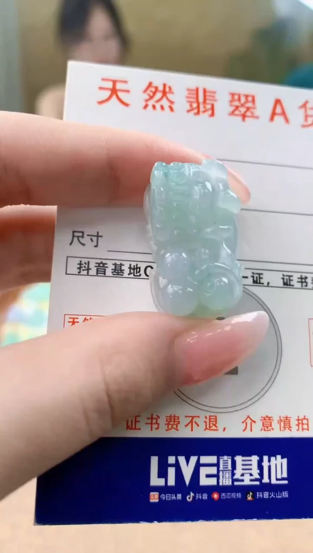 颈饰未镶嵌翡翠天然A货翡翠挂件