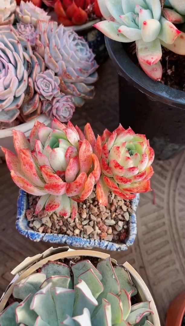 【闪购商品】22180