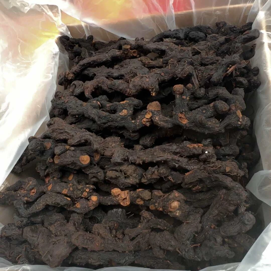 【高原小慧】高山长条高原山货大山--老虎姜 可搭配枸杞