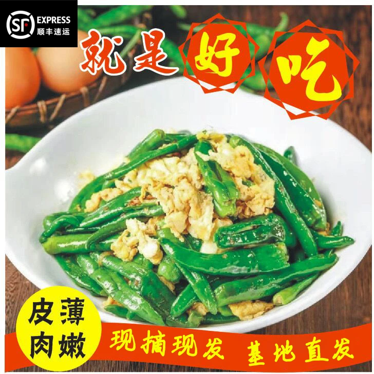 正宗湖南樟树港原种辣椒新鲜现摘软皮辣椒薄皮清香爽嫩辣椒