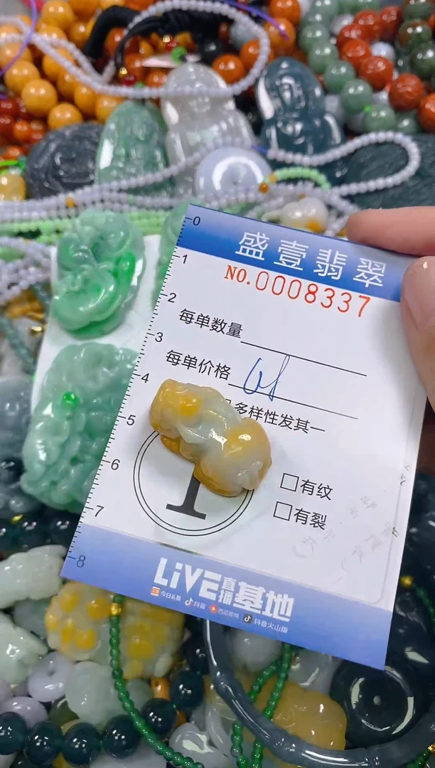 颈饰未镶嵌翡翠闪购0008337