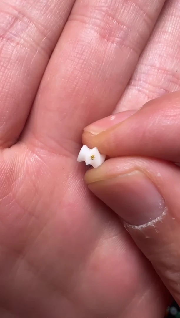 【闪购商品】贝壳吊坠雕刻配饰