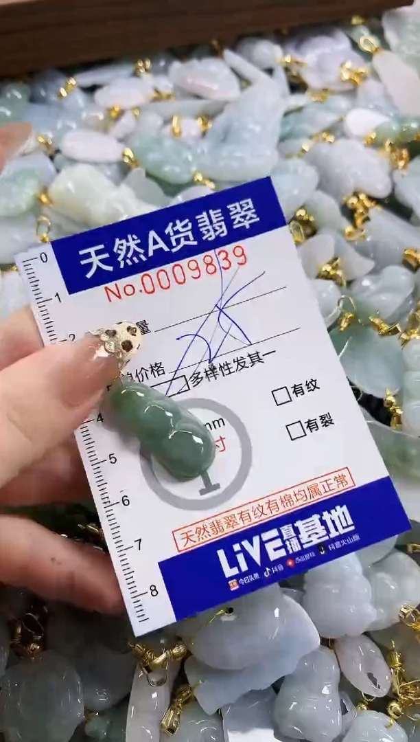 颈饰未镶嵌翡翠天然A货翡翠