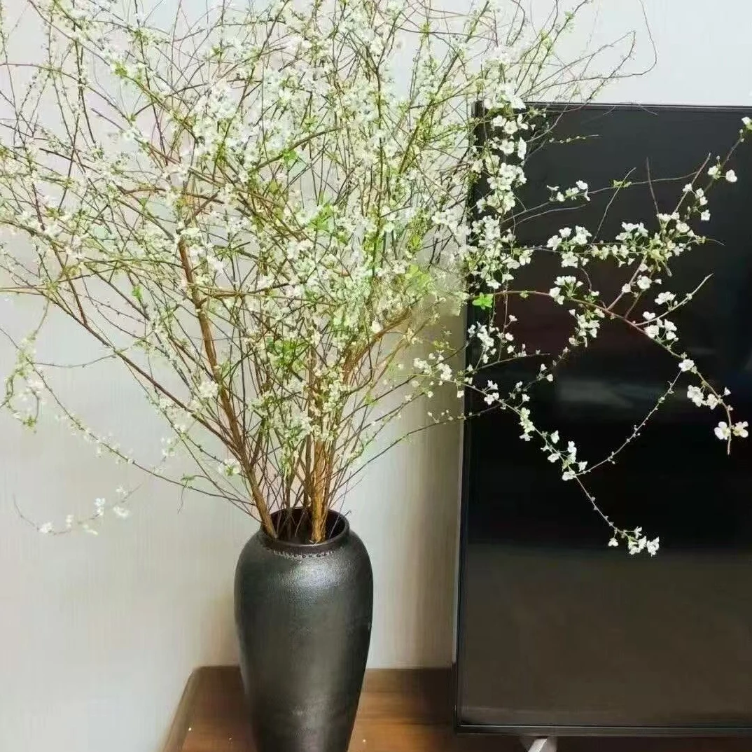 雪柳干枝水培室内绿植耐寒开花枯木养成的美丽花卉