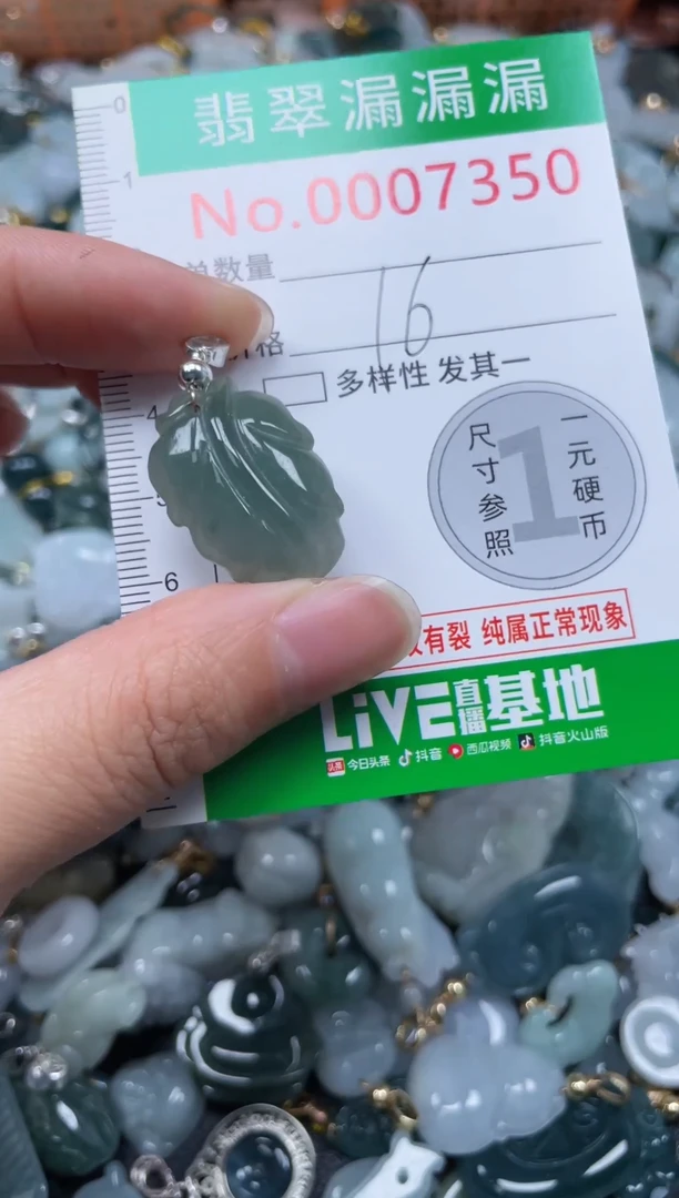 颈饰未镶嵌翡翠7350