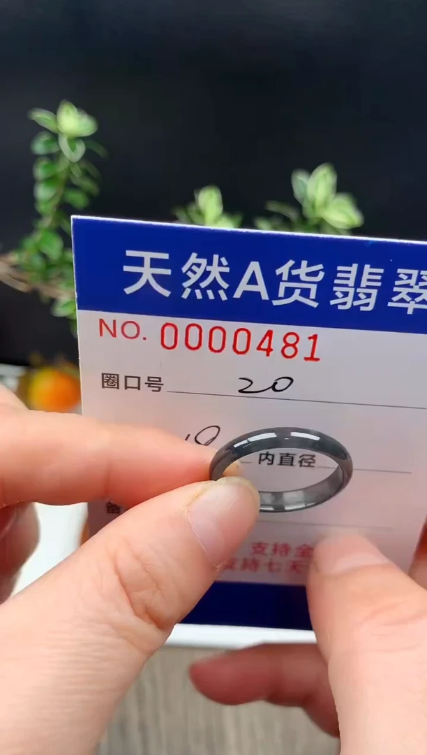 未镶嵌戒指翡翠20#