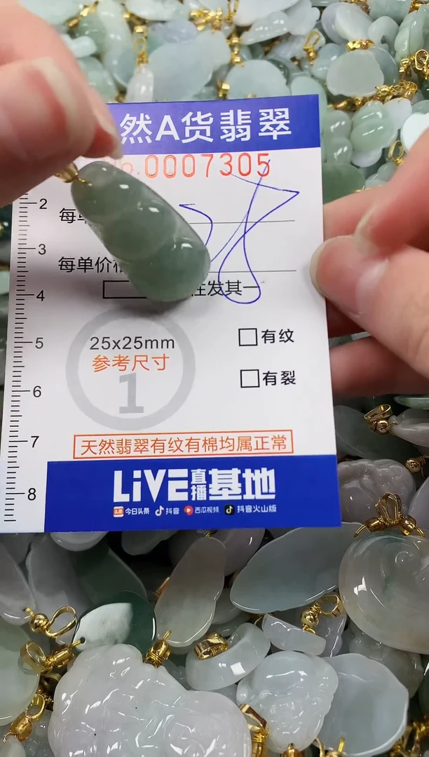 颈饰未镶嵌翡翠纯天然a货翡翠