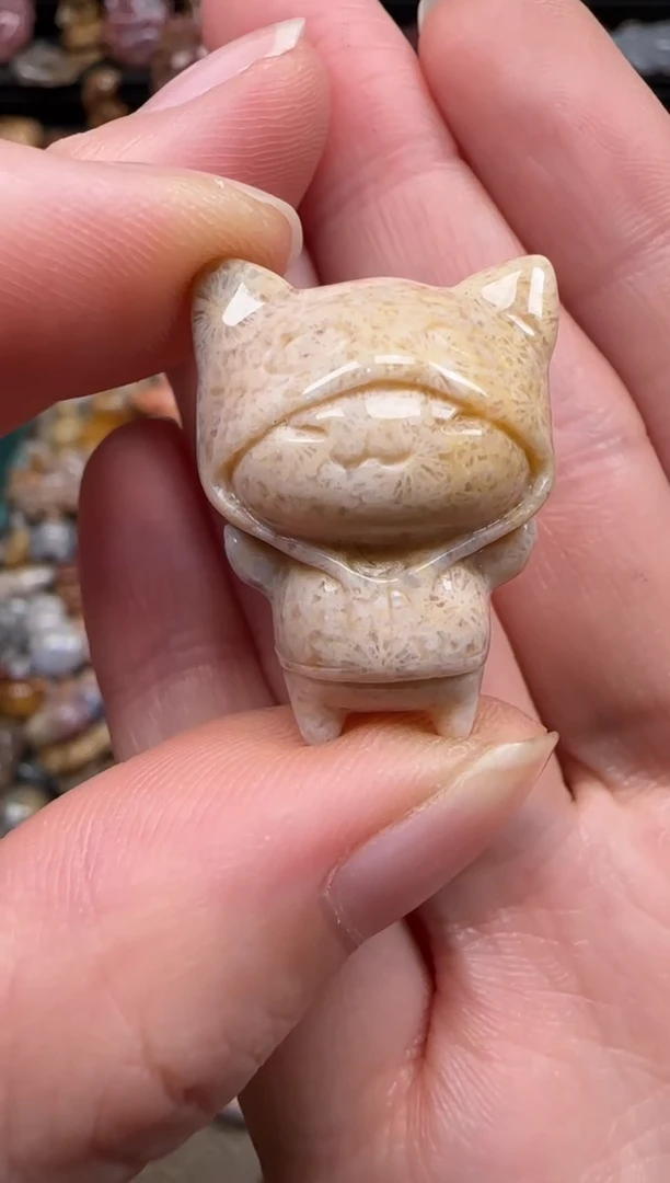 硅化珊瑚（珊瑚玉）未镶嵌颈饰100