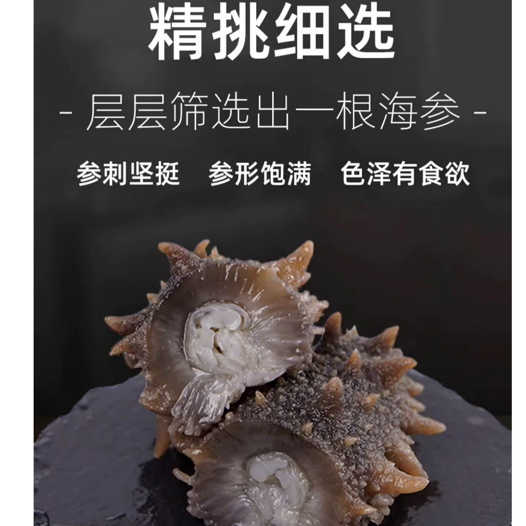 【送鲍鱼一斤】烟台潮间带鲜食海参零胆固醇零脂肪4斤装聚划算